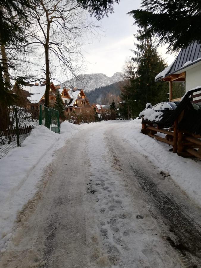 Apartamenty Villa Ski-Bowki Zakopane Extérieur photo