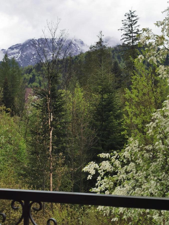 Apartamenty Villa Ski-Bowki Zakopane Extérieur photo