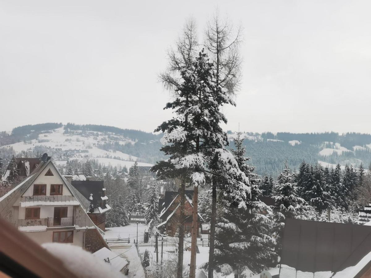 Apartamenty Villa Ski-Bowki Zakopane Extérieur photo